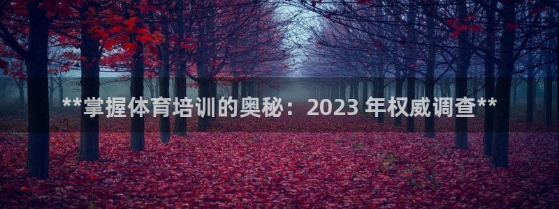 焦点娱乐平台怎么样：**掌握体育培训的奥秘：2023