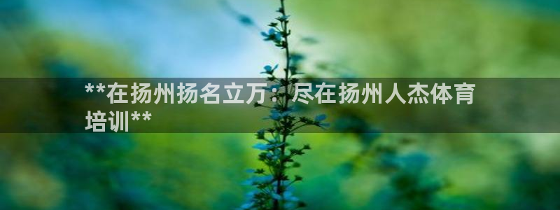 焦点娱乐app下载苹果版官网：**在扬州扬名立万：尽