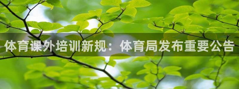 焦点娱乐传媒有限公司官网电话：体育课外培训新规：体育