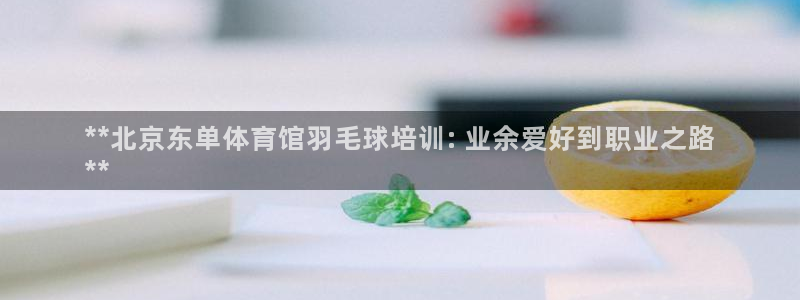 焦点娱乐拉菲：**北京东单体育馆羽毛球培训: 业余爱