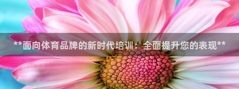 焦点娱乐挂机版下载：**面向体育品牌的新时代培训：全面提升您