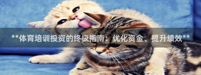 焦点娱乐开发：**体育培训投资的终极指南：优化资金、